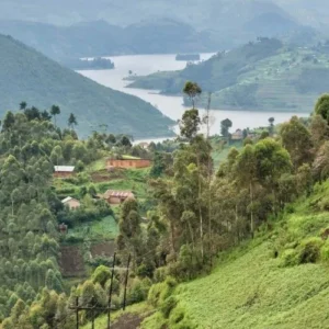 UGANDA